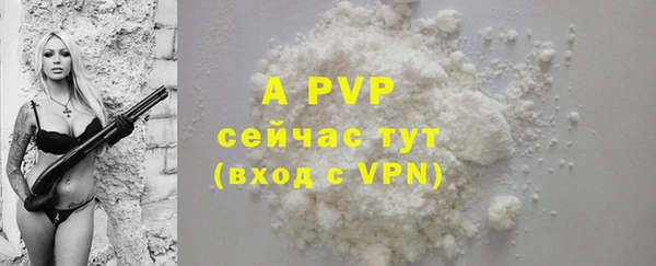 МДПВ Пересвет