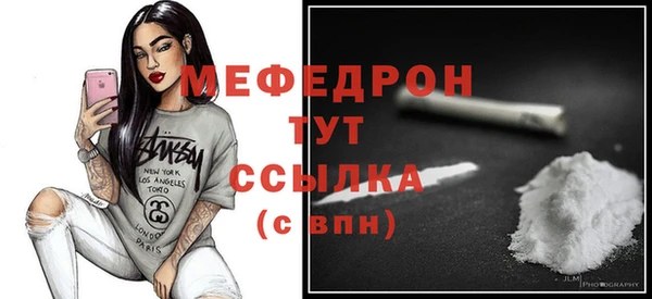 МДПВ Пересвет