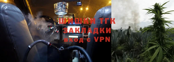 МДПВ Пересвет