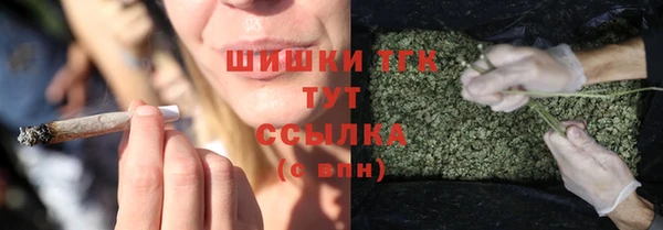МДПВ Пересвет