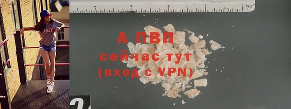 МДПВ Пересвет