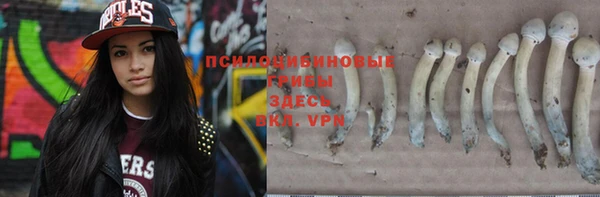 МДПВ Пересвет