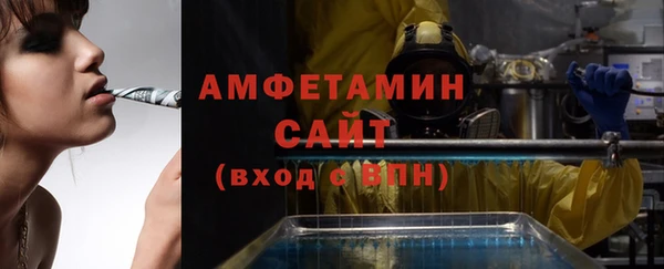 МДПВ Пересвет