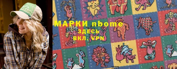 МДПВ Пересвет