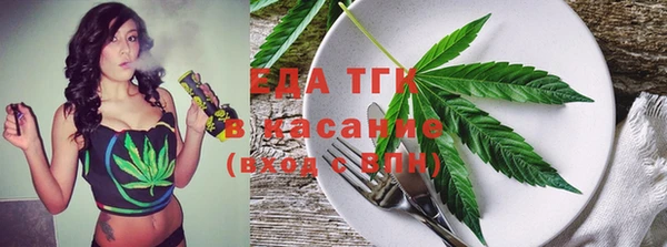 МДПВ Пересвет