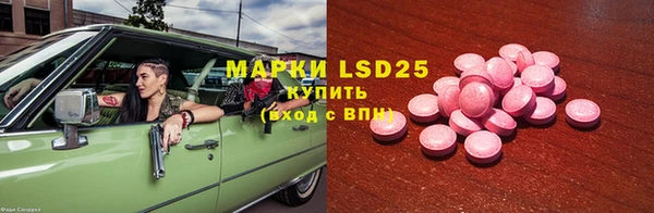 МДПВ Пересвет