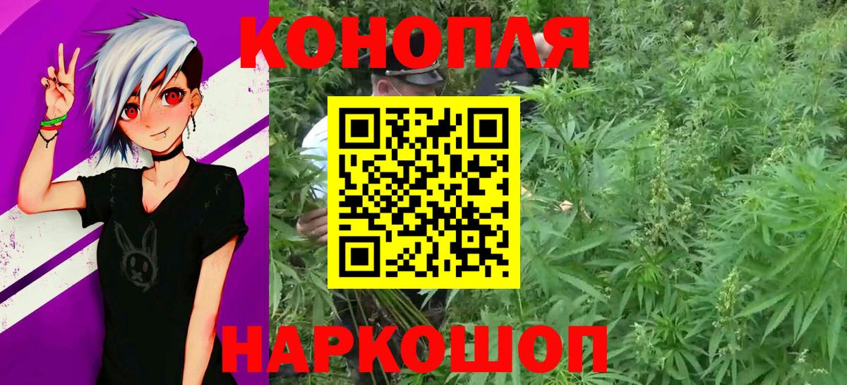 МЕФ Кострома